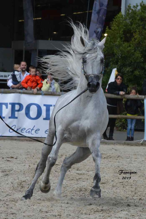 Concours International de Bordeaux 2015 - SHAWAN DU KLINTZ - notre selection - 22