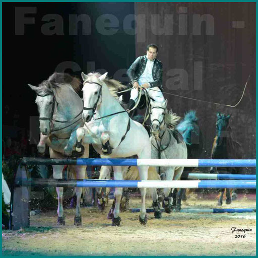 Cheval Passion 2016 - Spectacle les Crinières d'OR - LORENZO