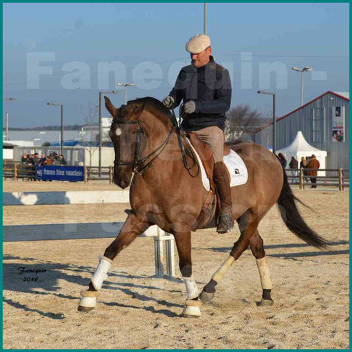 Cheval Passion 2016 - Max VENDRELL sur cheval Lusitanien