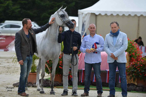 Championnat de France à Pompadour 2015 - SHAWAN DU KLINTZ - notre selection - 20