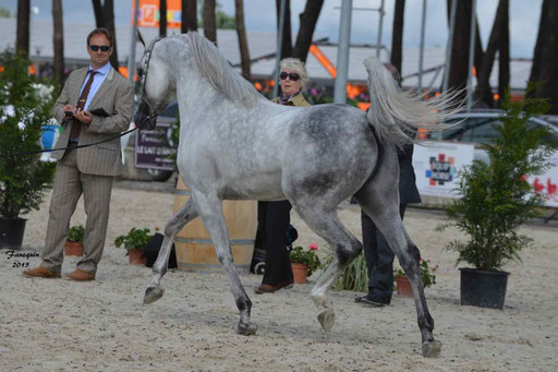 Concours International de Bordeaux 2015 - SHAWAN DU KLINTZ - notre selection - 28