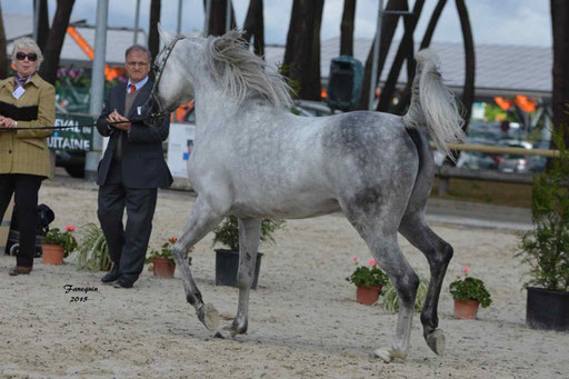 Concours International de Bordeaux 2015 - SHAWAN DU KLINTZ - notre selection - 27