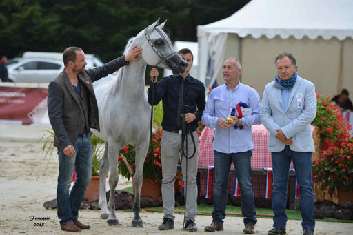 Championnat de France à Pompadour 2015 - SHAWAN DU KLINTZ - notre selection - 21