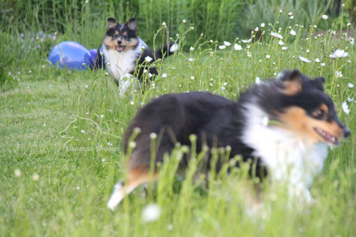 Willy und Baya