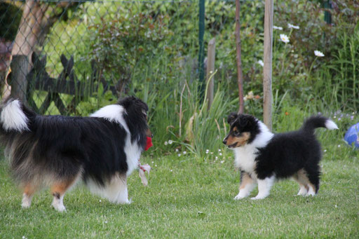 Willy und Baya