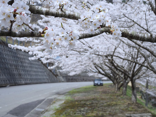 京都・名前も知らないお気に入りの場所