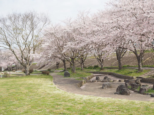 京都・大堰川緑地公園