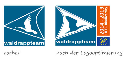 Logo mit Waldrapp