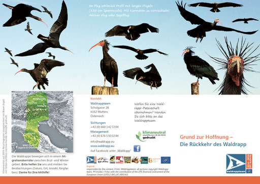 Folder für das Waldrappteam, 2014