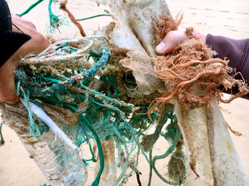 Täglich wird neuer Müll angeschwemmt