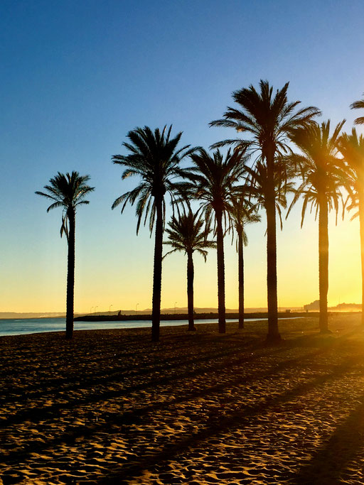 Spanien grüßt mit Sonnenschein in Roses bei Barcelona