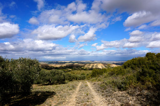 Piste durch den Naturpark Bardenas Reales