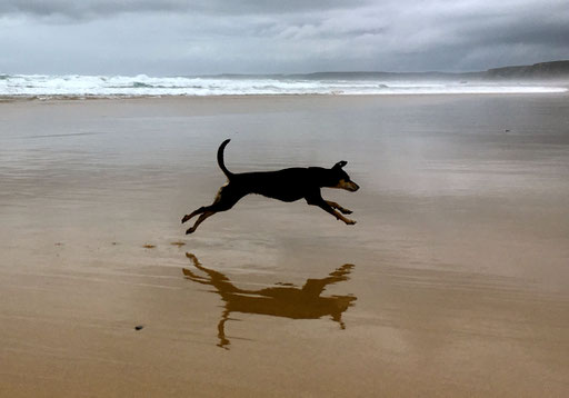 Melli gibt immer Gas