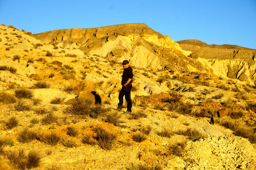 Abendliche Erkundung unserer Umgebung