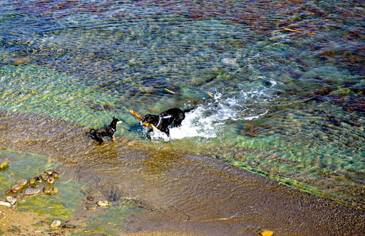 und dann ab ins Wasser