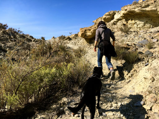 Wanderung im Staub 
