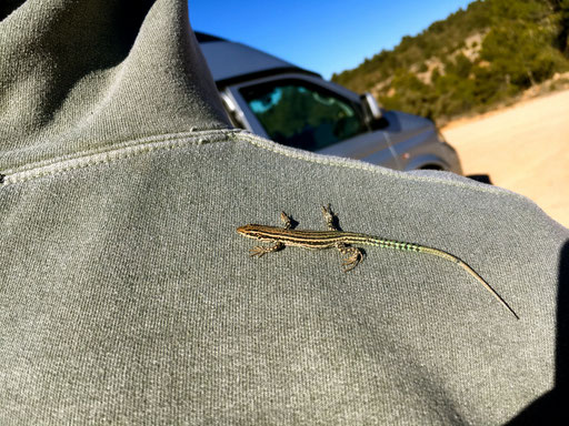 ich war der Sonnenplatz von diesem kleinen Kerl