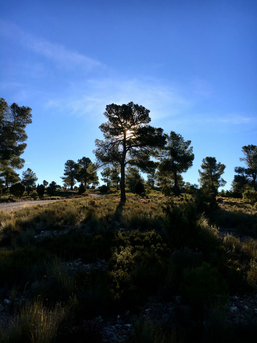 aber A.....kalt nachts das erste Mal Minus Grad