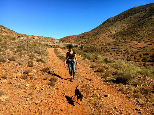 Wanderung zur Caldera de Maiada de Redonda