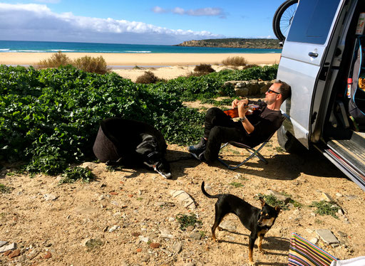 Hier lebt es sich recht gut