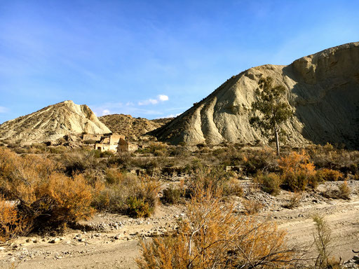 Trocken Staubig karge Vegetation und trotzdem spannend und abwechslungsreich