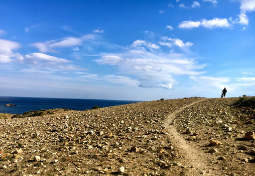 Vegetation gleich null 