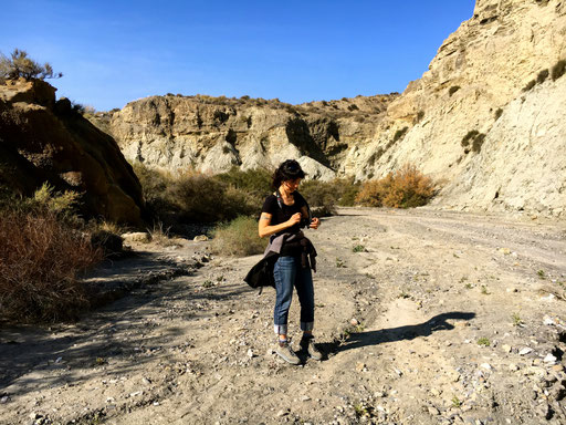 immer zum Schuß bereits bereit