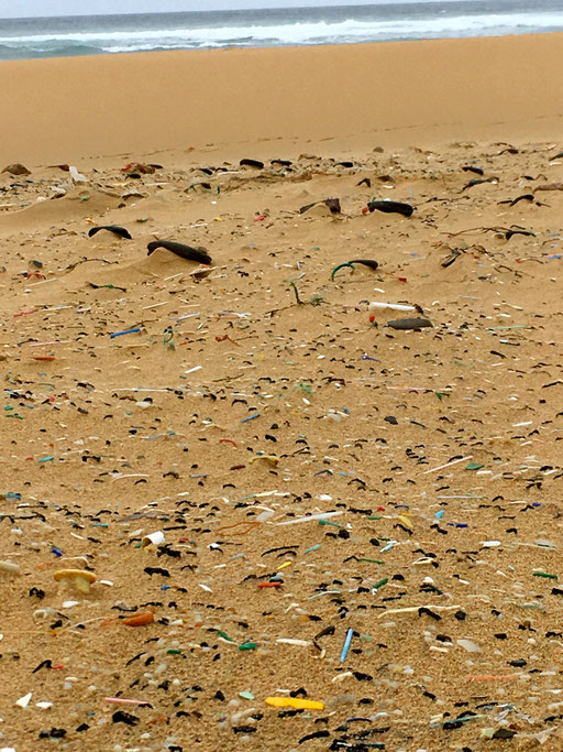 Erschütternde Realität!