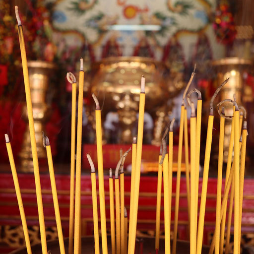 Besuch der Fukia Assemly Hall (Phuc Kien), einem chinesischen Tempel in Hoi An Vietnam Räucherstäbchen