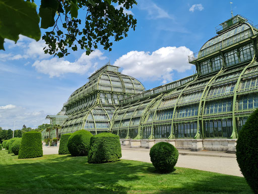 das Palmenhaus - ich fühle mich immer ein klein wenig wie beim Eiffelturm 