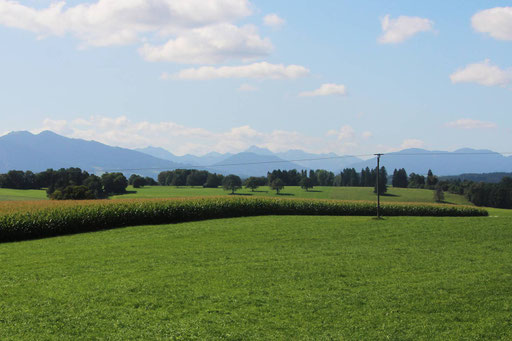Panoramablick nach Westen mit herrlichen Sonnenuntergängen