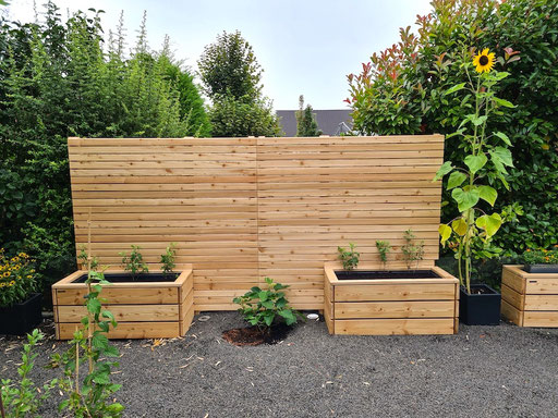 Gartengestaltung mit Sichtschutz: Pflanzkasten mit Sichtschutz aus wetterfestem Holz, Oberfläche: Natur Geölt