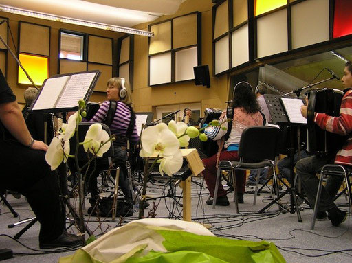 Akkordeon Orchester Bezirk Affoltern unter der Leitung von Ruedi Marty mit Solist Heinz della Torre