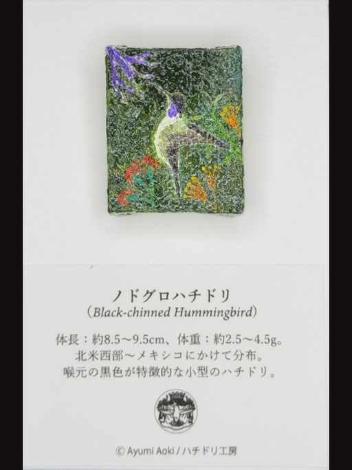 ノドグロハチドリ