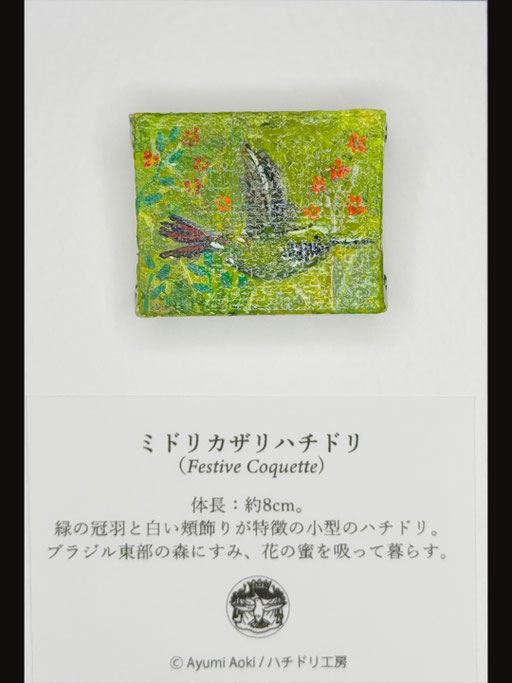 ミドリカザリハチドリ