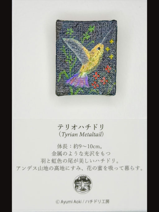 テリオハチドリ