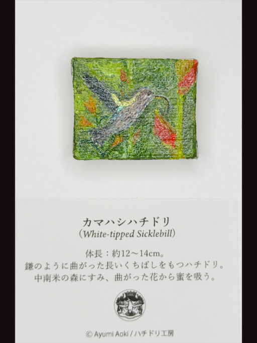 カマハシハチドリ