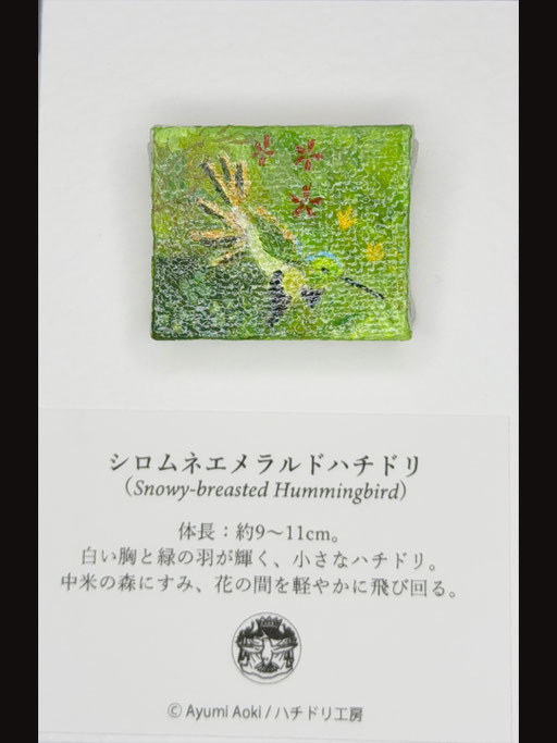 シロムネエメラルドハチドリ