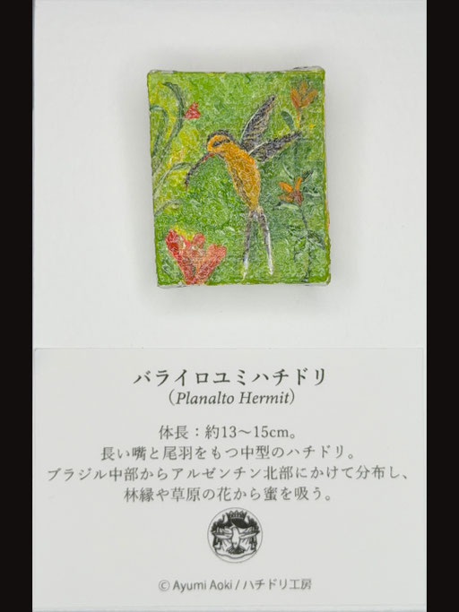 バライロユミハチドリ