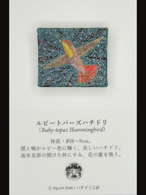 ルビートパーズハチドリ