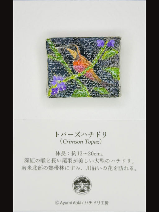 トパーズハチドリ