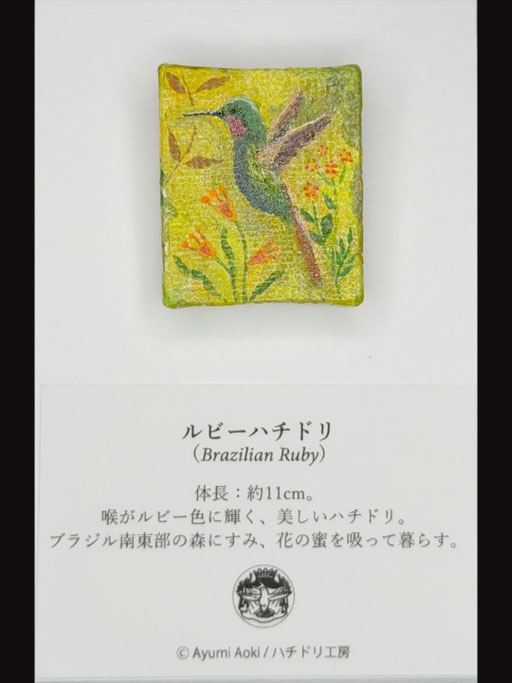 ルビーハチドリ