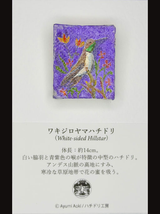 ワキジロヤマハチドリ