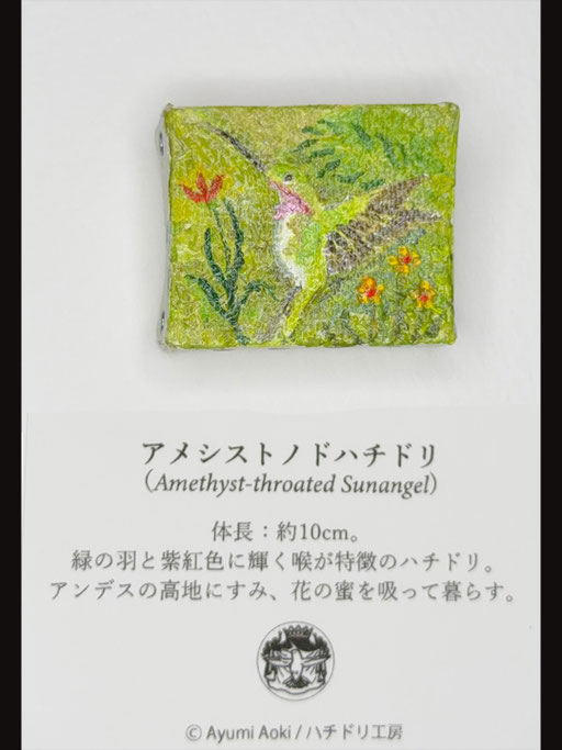 アメシストハチドリ