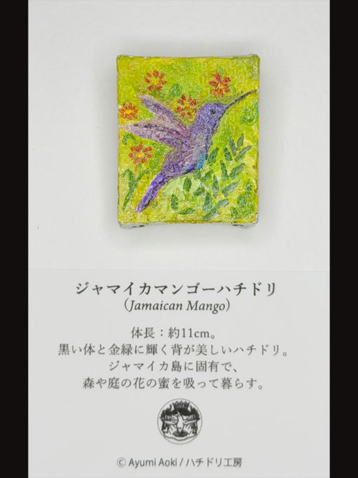 ジャマイカマンゴーハチドリ