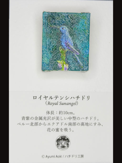 ロイヤルテンシハチドリ