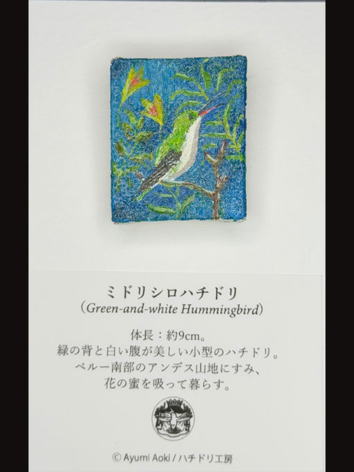 ミドリシロハチドリ