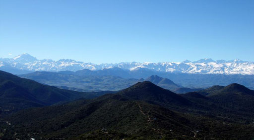 Andes panorama from Cerro La Campana National Park