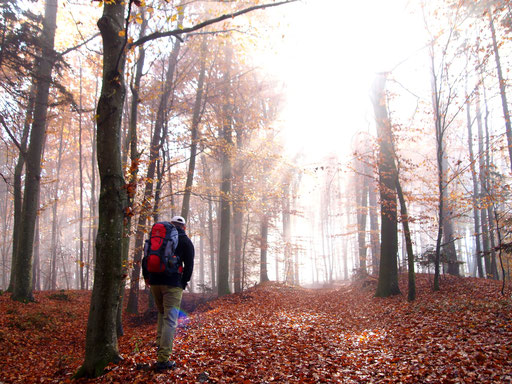 Herbstwanderung im Weinland