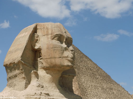 Der Große Sphinx von Gizeh - in Ägypten
